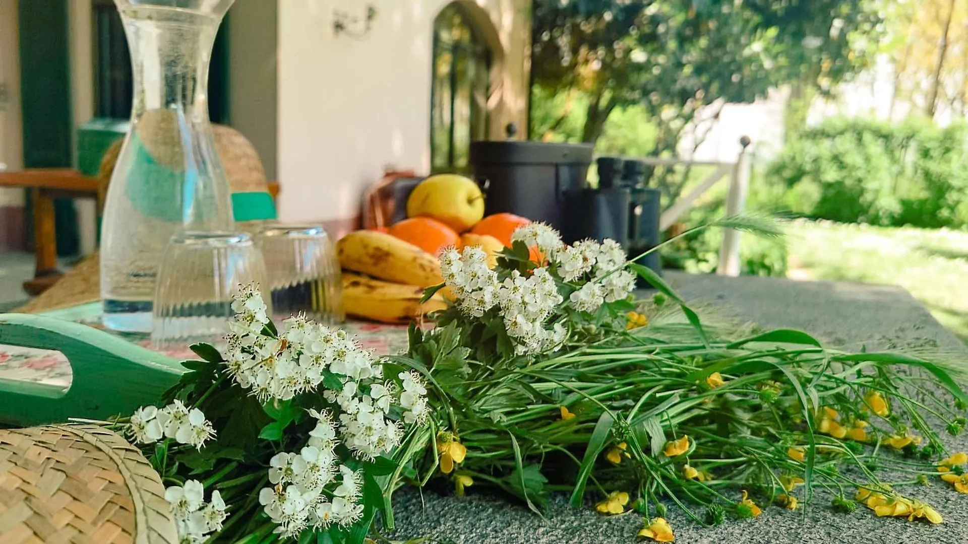 Bed & Breakfast B&B Due Fiumi 1908 Travaco Siccomario